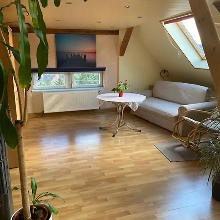 Helles Und Charmantes Loft Mit Herrlichem Blick Dresda Esterno foto