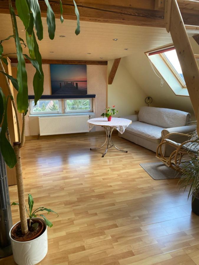 Helles Und Charmantes Loft Mit Herrlichem Blick *