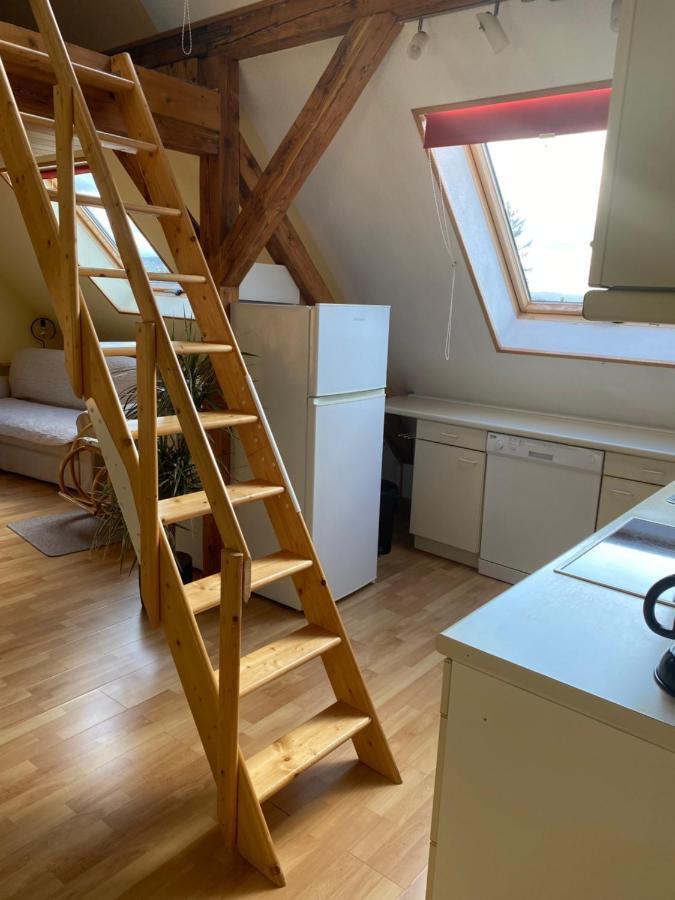 Helles Und Charmantes Loft Mit Herrlichem Blick Dresde