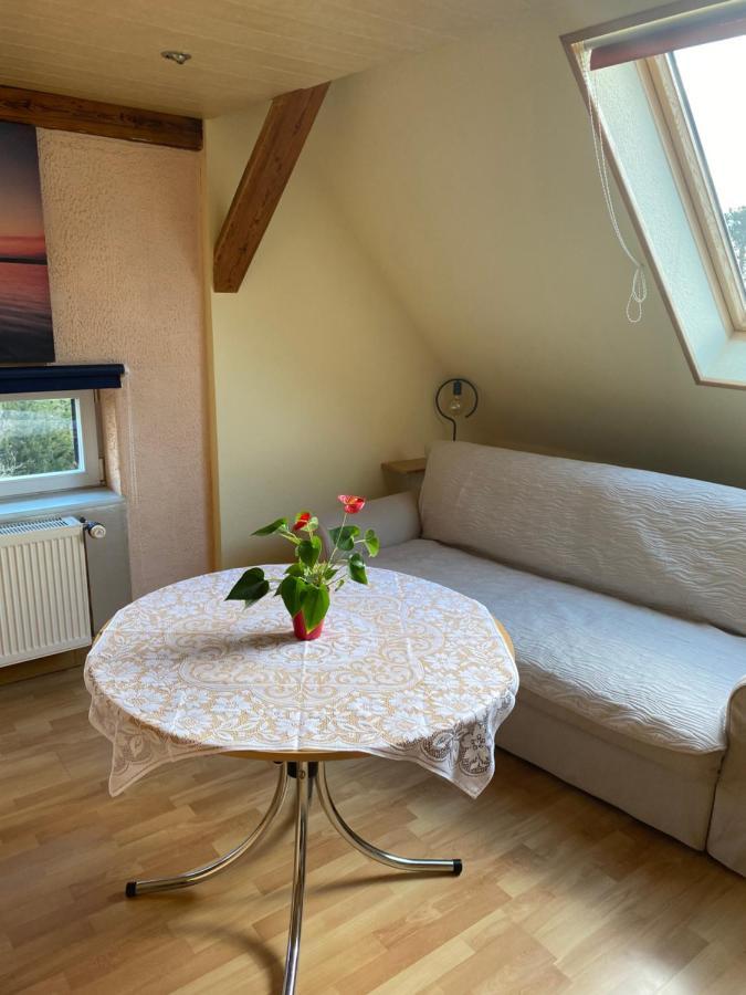 Appartement Helles Und Charmantes Loft Mit Herrlichem Blick Dresde